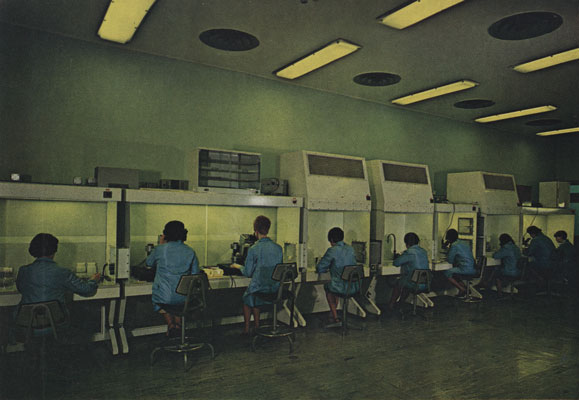 NAEST-238-03-02-Page-16-Image-Cropped