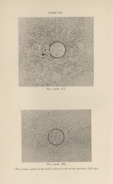 Faradays-Diary-Vol-6-Plate-7