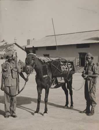 SC-MSS-50-09-Photo-02-Cropped