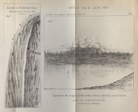 spt-p-i-144-26-plate-01
