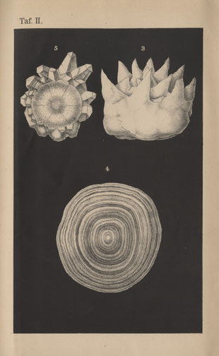 spt-p-i-144-32-plate-02