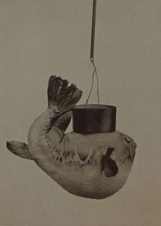 NAEST-045-546-photo-6-items-588-cropped