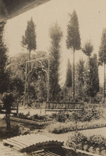 NAEST-103-01-01-Photo-06-Mr-Nemazee's-Garden,-Shiraz