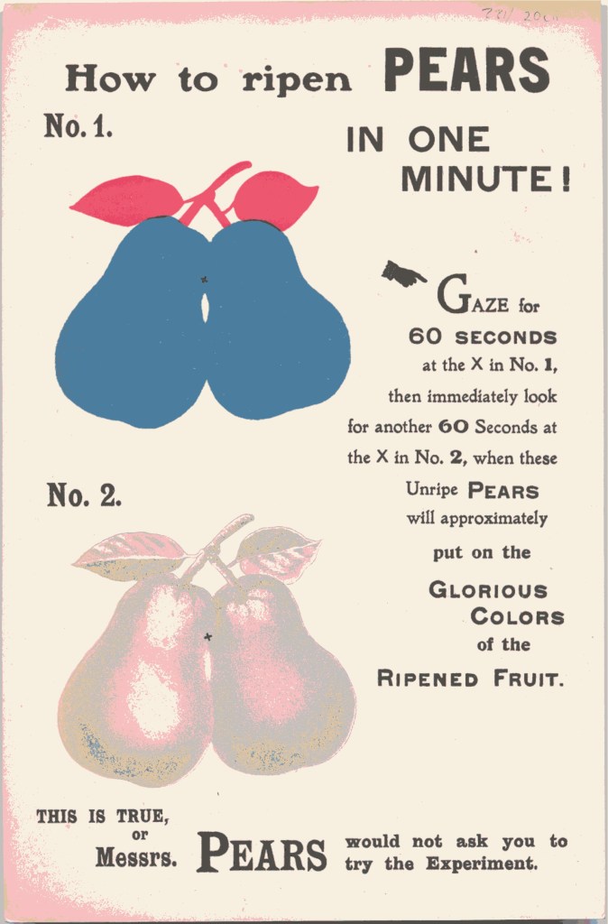 Printed colour advertisement for Pears soap showing two drawings of pears with an optical illusion