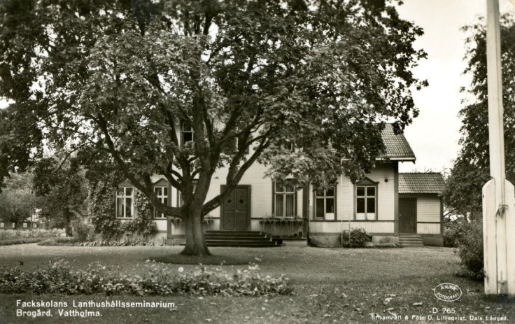 White house behind a large tree